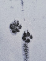 IMG_20201203_084917